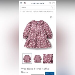 Janie and Jack Woodland Floral Ruffle Dress Size 6-12 months LIKE NEW